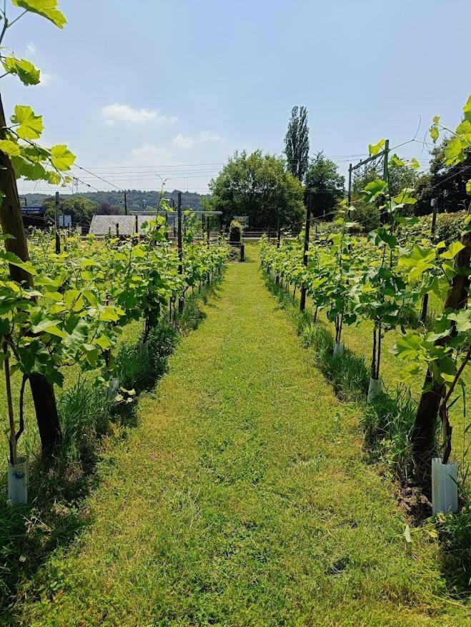 Halte Sint-Gerlach Holiday Home Valkenburg aan de Geul Dış mekan fotoğraf